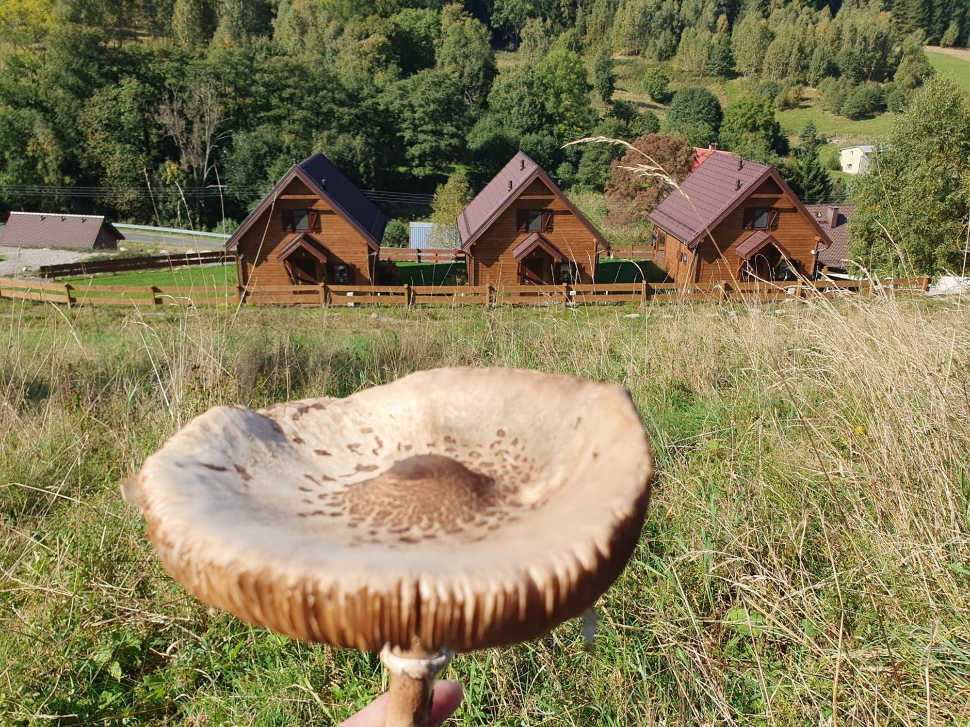 Chalet Lisa *